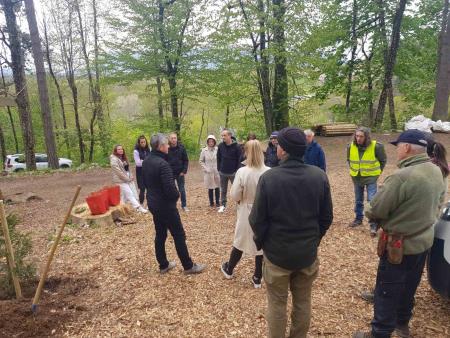 zasaditev smrekic (2)